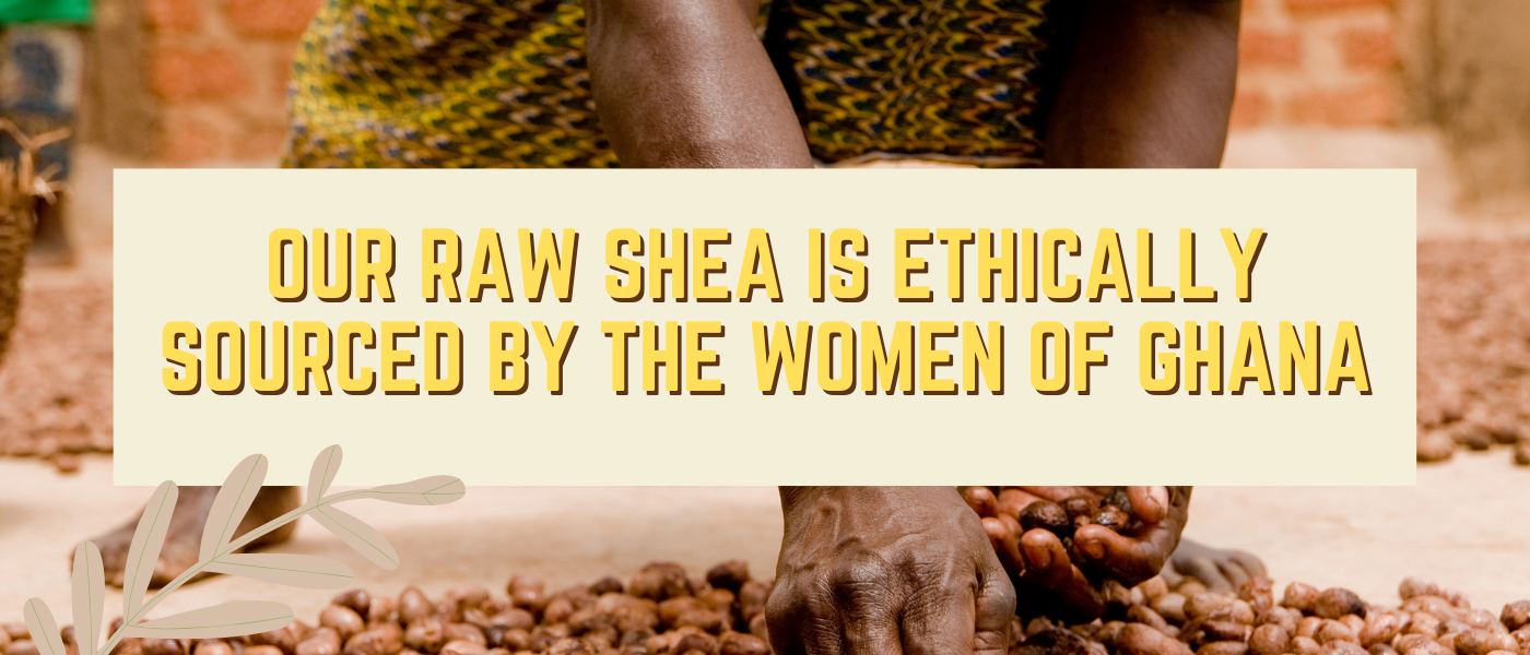 True Shea is ethically sourced by the women of Ghana